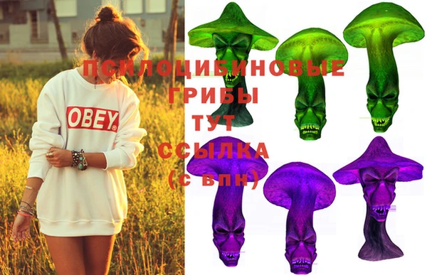 не бодяженный Арсеньев