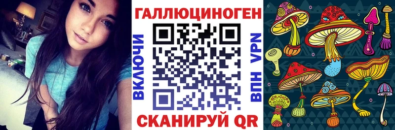 Галлюциногенные грибы Psilocybe  Мамоново 